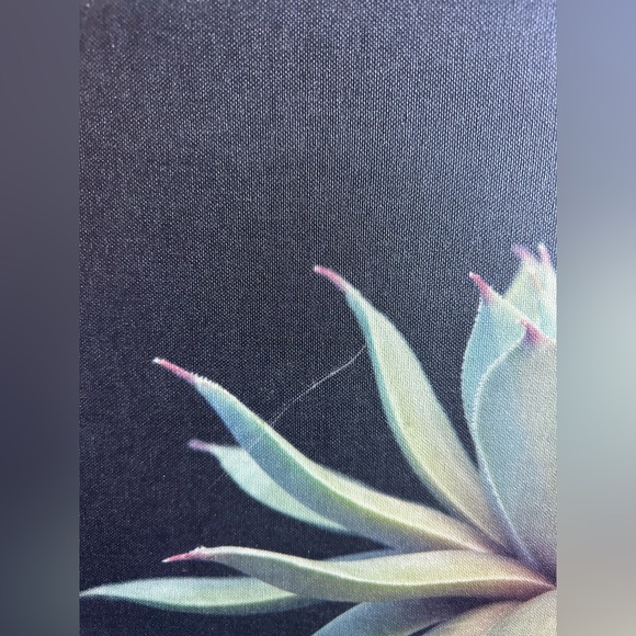 Succulent Framed Canvas Wall Art by F2 Images, 18x24 Gold - Picture 4 of 5